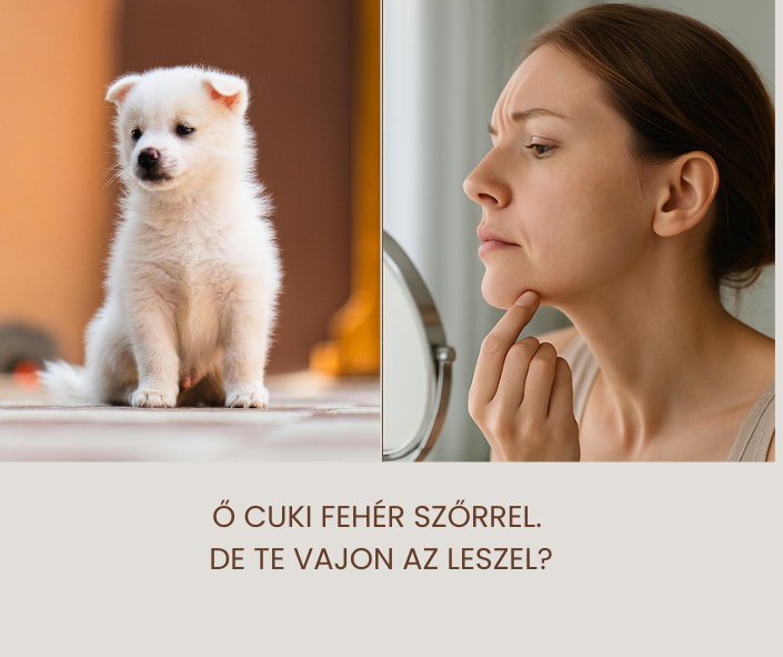 Miért nem működik a lézeres szőrtelenítés ősz szőr esetén? 15 1 1