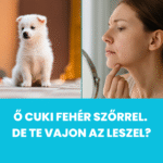 lezeres szortelenites osz szor eseten 3