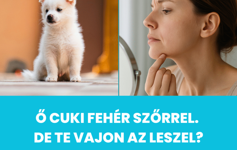 Miért nem működik a lézeres szőrtelenítés ősz szőr esetén? 51 lezeres szortelenites osz szor eseten 3