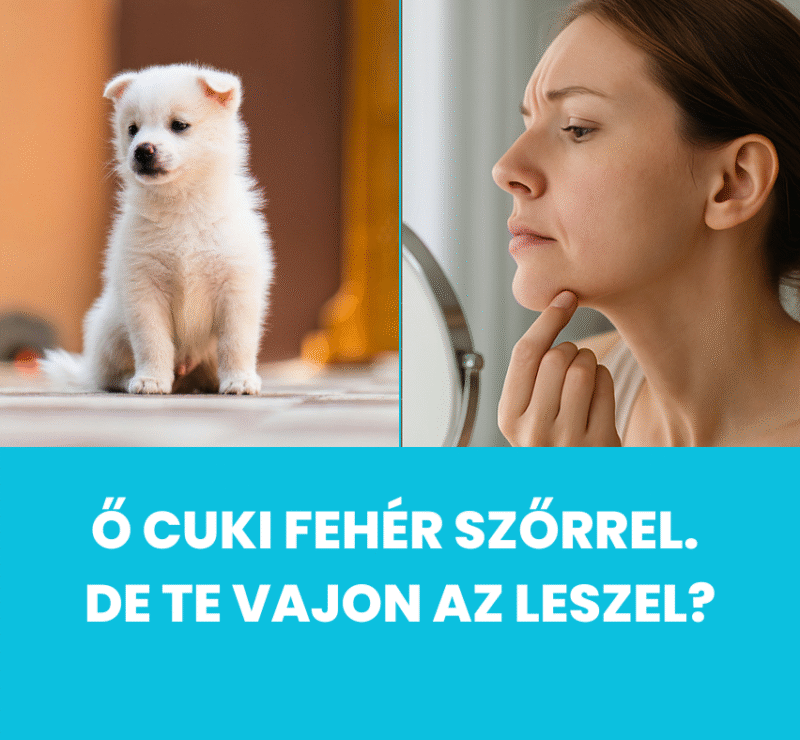 lezeres szortelenites osz szor eseten 3