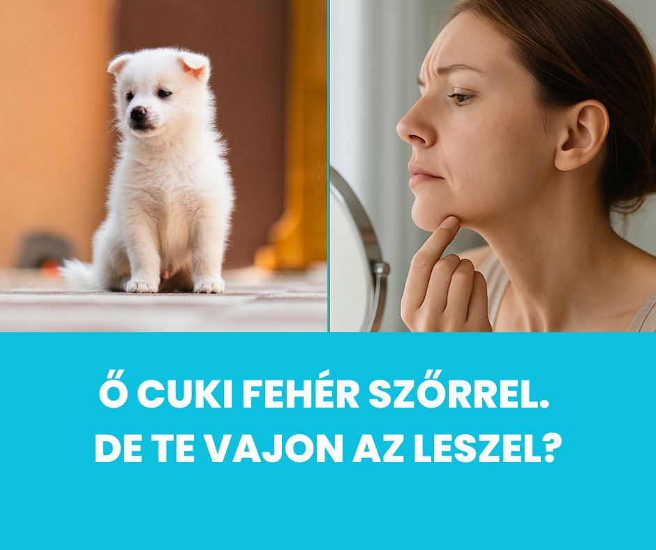 lezeres szortelenites osz szor eseten 3